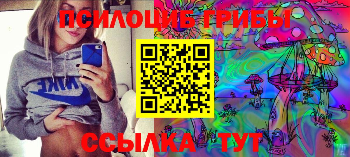 Галлюциногенные грибы Psilocybine cubensis Ирбит