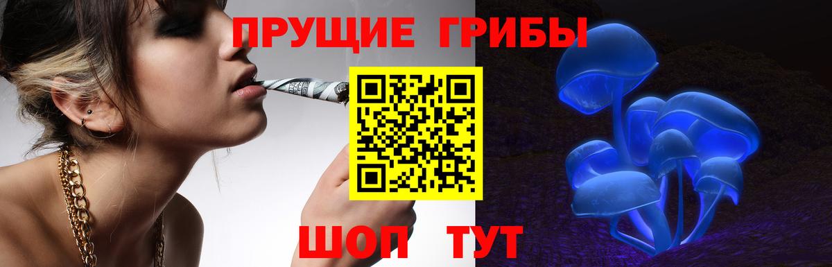 Псилоцибиновые грибы Psilocybine cubensis  Вход с VPN  Ирбит 